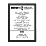 Aerosmith Download Festival 2010 Replica Setlist - Setlist